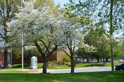 Patrick Henry Community College